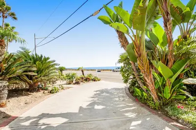 a sidewalk with palm trees and the beach in the background at F-76 Terramar Cliffs in Carlsbad