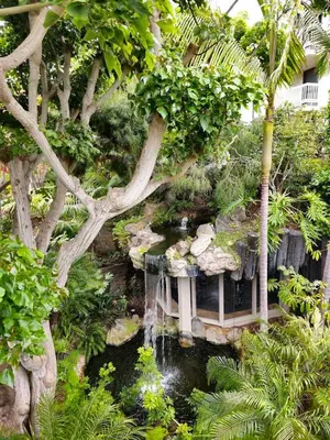 a garden with a pond and trees and a waterfall at Steps to the Beach 2 Pools & Hot Tubs - A-204 in Oceanside