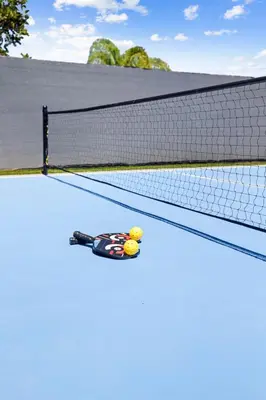 a tennis racket and balls on a tennis court at Stunning Bay Views with Pickleball and Hot Tub in San Diego