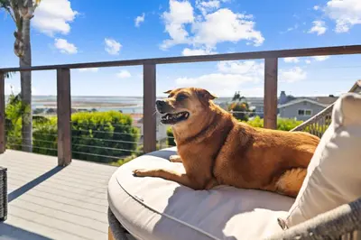 a dog laying on a bed on a balcony at Stunning Bay Views with Pickleball and Hot Tub in San Diego