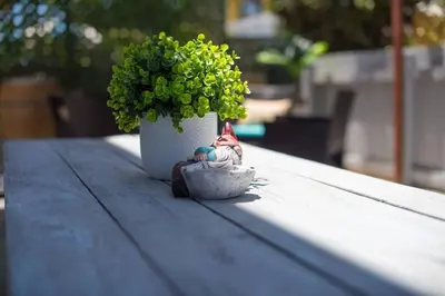 a small figurine sitting on a table next to a plant at #753Coastal Anchor Suite!GroundLevel/Parking/Grill in San Diego