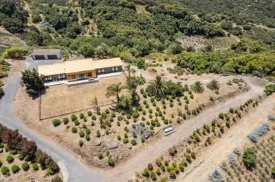 an aerial view of a house with palm trees at Luxury Mountain Estate Sleeps 11 in Valley Center