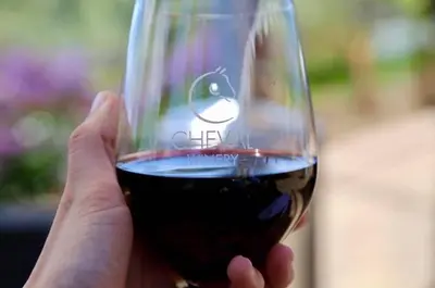 a hand holding a glass of red wine at Casita Vino Dog-Friendly Vineyard Retreat & Stay in Escondido