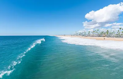 a view of a beach with palm trees and the ocean at 3Br Oceanfront At Balboa Pier W Ac And Great Walkability By Beachview Rentals in Newport Beach