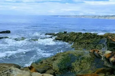 a view of the ocean with rocks and the water at Studio w Private Entrance Convenient and Cozy in San Diego