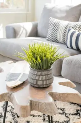 a coffee table with a vase with grass on it at Pacific Beach Cottage 3 Walk to the Beach and Bay in San Diego
