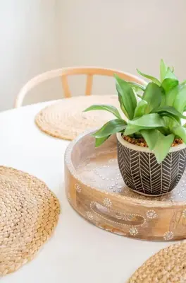 a plant in a pot sitting on a table at Pacific Beach Cottage 3 Walk to the Beach and Bay in San Diego