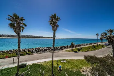 a road next to the ocean with palm trees at Ocean Vista Penthouse 2 in San Diego