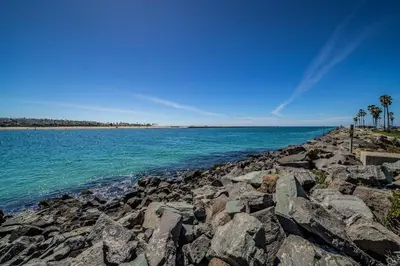 a rocky shore with palm trees and the ocean at Ocean Vista Penthouse 2 in San Diego
