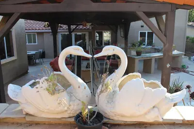 two white swans are standing next to each other at Room in Bay Park, San Diego in San Diego