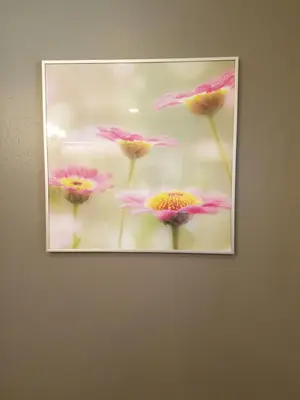 a picture of pink flowers on a wall at The Hideaway in San Diego