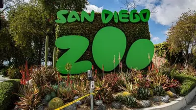 a sign that reads san diego zoo at Canyon View in San Diego