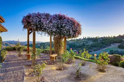 a garden with a bunch of purple flowers at La Bella Vista Estate in Fallbrook