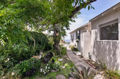a garden with a tree next to a house at Bird Rock, La Jolla Whitewater with AC in La Jolla