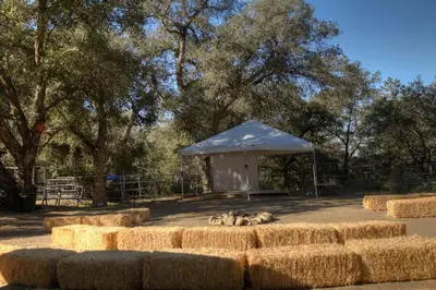 two dogs laying on the ground next to a tent at Cozy Rustic Mountain Home with Breathtaking views in Palomar Mountain
