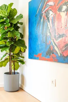a plant sitting on a table next to a painting at Simple La Jolla 2 bedroom - Alley Unit in San Diego