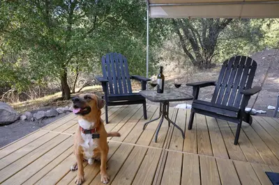a dog sitting on a deck with a table and chairs at Peaceful Mountain Tent Escape at Harrison Ranch in Pauma Valley