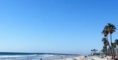 a beach with people and palm trees and the ocean at 501P-5 Panoramic Ocean & Pier Views in Oceanside
