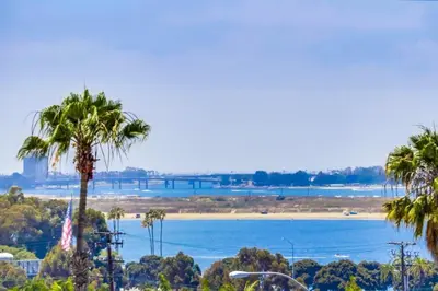 a view of the beach and the water with palm trees at Suite with Rooftop Deck and Ocean Views in Mission Bay in San Diego