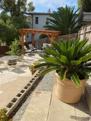 a patio with a potted plant and a wooden pergola at Cozy Apt W Patio Bankers Hill SD in San Diego