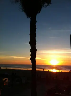 a palm tree on the beach at sunset at The Seabreeze by Coastline Vacation Rentals in San Diego