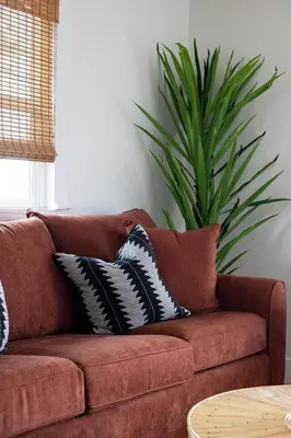 a brown couch with two pillows and a plant at Casa del Sol by Coastline Vacation Rentals in San Diego