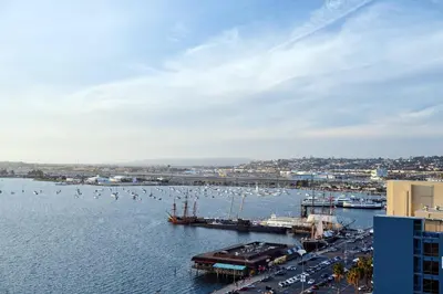 a harbor with a bunch of birds in the water at SpringHill Suites by Marriott San Diego Downtown/Bayfront in San Diego