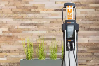 a robot with two plants in front of a wall at SpringHill Suites by Marriott San Diego Mission Valley in San Diego