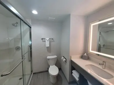 a bathroom with a toilet and a sink and a shower at Holiday Inn Express San Diego South - Chula Vista by IHG in Chula Vista