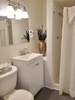 a bathroom with a toilet and a sink and a mirror at Coronado Island Inn in San Diego
