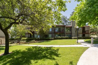 an apartment building with a tree and a sidewalk at San Diego Country Estates in Ramona