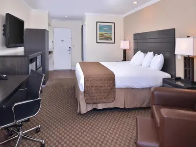 a hotel room with a large bed and a television at Best Western Capistrano Inn in San Juan Capistrano