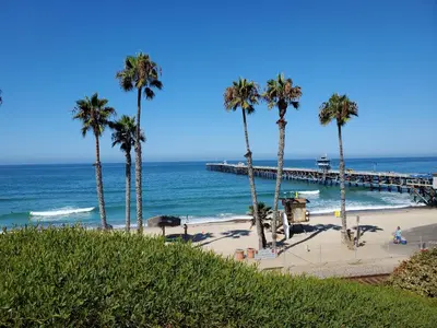 a beach with palm trees and a pier at Casa Tropicana in San Clemente