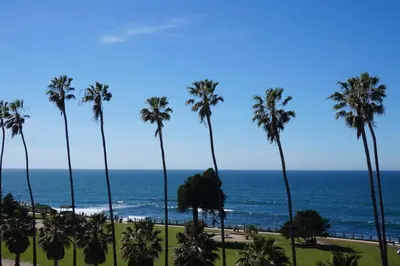 a group of palm trees and the ocean at La Jolla Cove Suites in San Diego