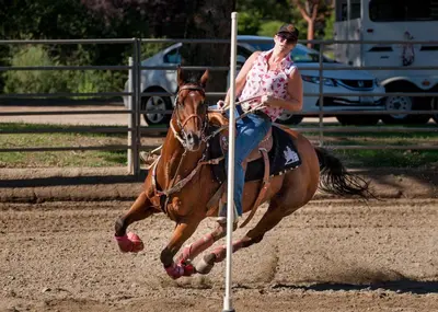 a woman riding a horse jumping over a pole at San Vicente Golf Resort in Ramona