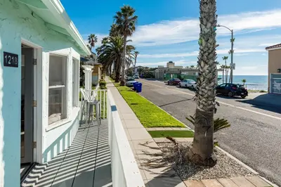 a palm tree on a sidewalk next to a house at Pacific Bungalow in Oceanside with Backyard & Tiny House in Oceanside