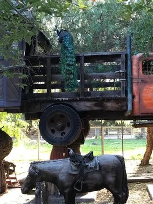 a statue of a bird standing on the back of a truck at Wine Country Private Working Sheep Farm; Rustic Elegance in Temecula
