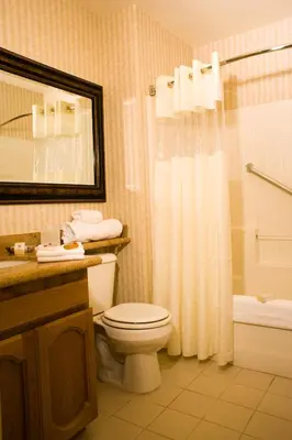 a bathroom with a toilet and a shower at Borrego Springs Resort in Borrego Springs