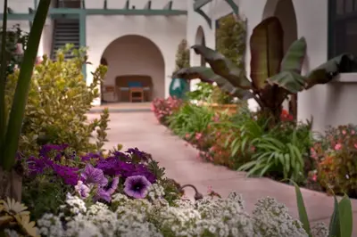 a garden with purple and white flowers on a sidewalk at 1906 Lodge in San Diego