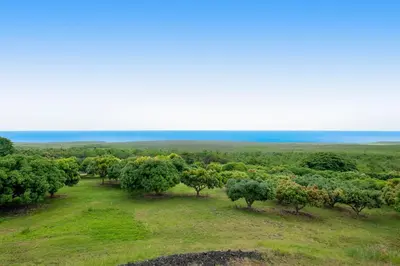 an open field with trees and the ocean in the background at ENC-183 - SeaBluffe Escape in Encinitas