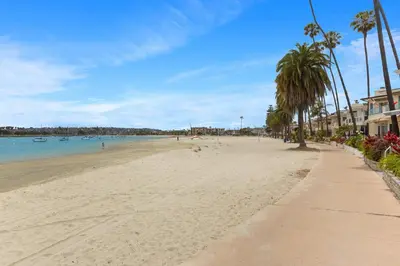 a sandy beach with palm trees and the ocean at Highly rated Best Beach! AC Luxury KING Beds! in San Diego