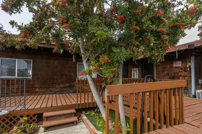a wooden deck with a tree with red flowers on it at Spacious Guest Suite Amazing Location in San Diego