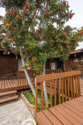 a wooden bench next to a tree with red flowers at Spacious Guest Suite Amazing Location in San Diego