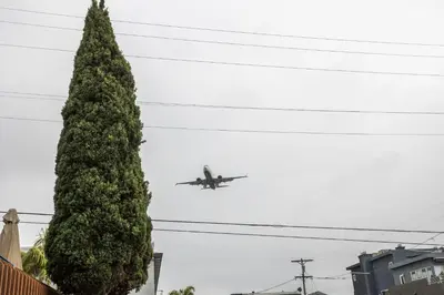 an airplane is flying over a large tree at Spacious Guest Suite Amazing Location in San Diego