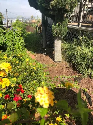 a garden with colorful flowers in a yard at COZY Studio in Downtown San Diego in San Diego