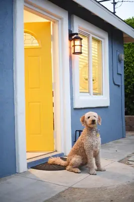 a dog sitting in front of a house with a yellow door at Mile to Beach! Fully Fenced Private SoCal Cottage in Oceanside