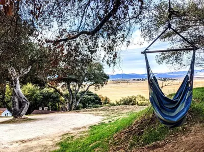a blue hammock hanging from a tree next to a dirt road at The Luminous Lodge-Remodeled Cabin W/ Valley Views in Santa Ysabel