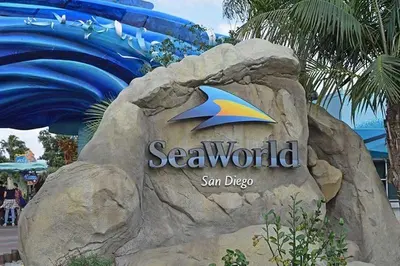 a sign at the entrance of a disney resort at Free Parking Cozy 1BR in Gaslamp Conv Center in San Diego