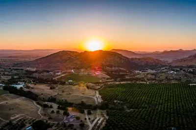 an aerial view of a vineyard at sunset at Chick-Ranch Guest House in Temecula